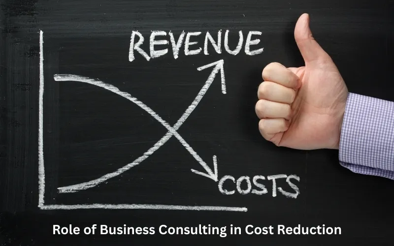 Business Consulting in Cost Reduction