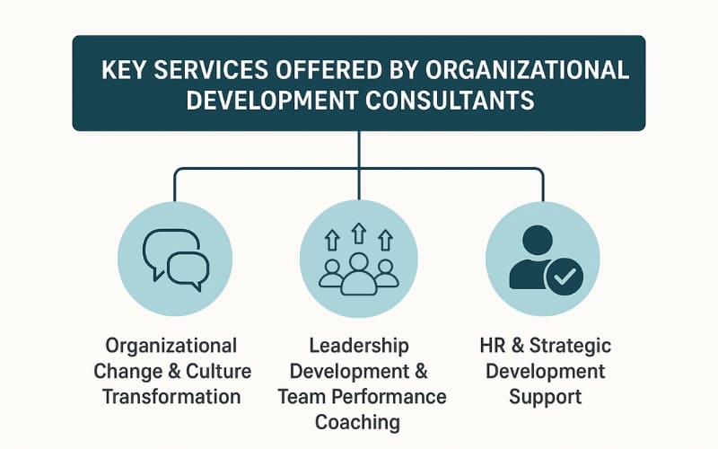 Organizational Development consulting services in Delhi NCR – culture transformation, leadership coaching, and HR strategy