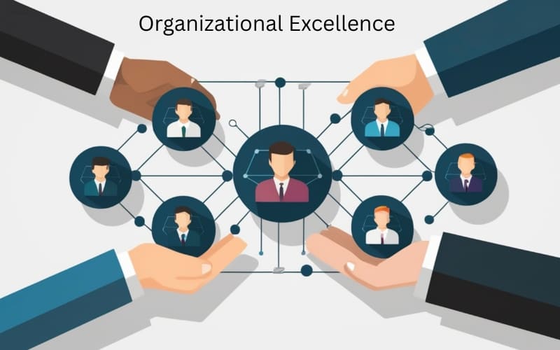 Management consulting services in Delhi for organizational excellence and business improvement